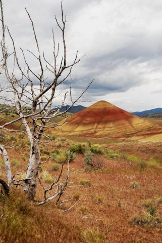 Trận  Chiến   Đêm Qua