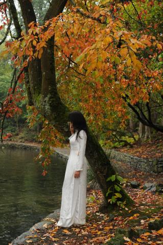 Mấy Vần Thơ Nhỏ