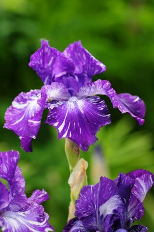  LỤC BÁT THÁNG MƯỜI CHO EM.