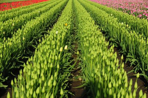 Đường một chiều.