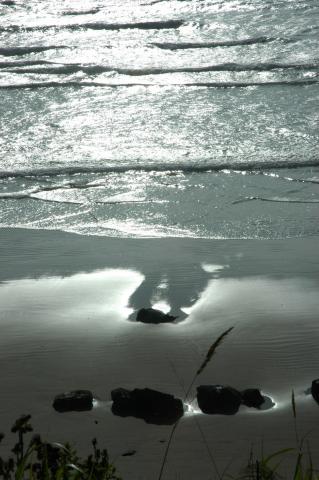 Thoáng Qua Là Tri Âm