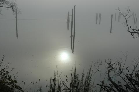 Trăng sáng quê người