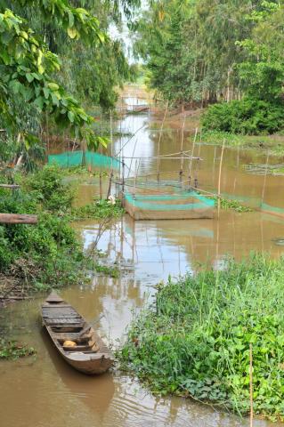 Về Cõi  Bình  Yên 