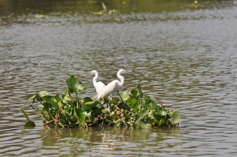 HUYỀN TÍCH TIÊN SA