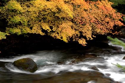 Dòng xoáy  Vô Minh