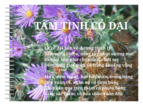 TÂM TÌNH CỎ DẠI.  