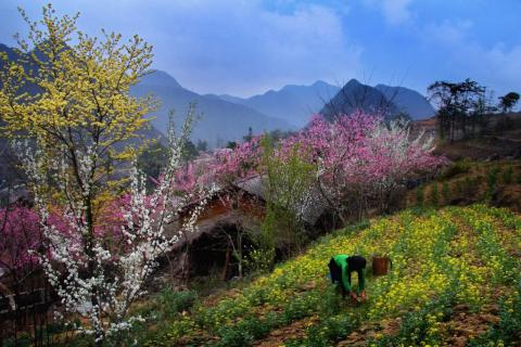 XUÂN