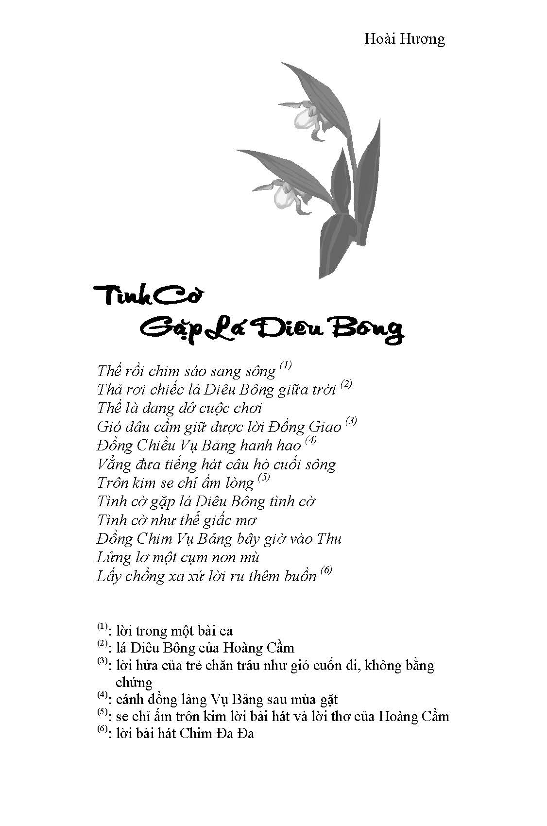 Tình Cờ Gặp Lại Diêu Bồng