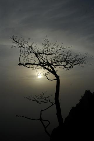 Trăng Cô Đơn