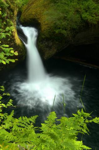 Oregon waterfalls