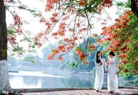 Hoa Phượng Xứ Người,