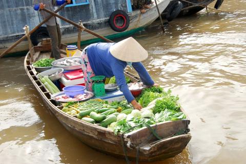 VỀ ĐÂY DỰ CUỘC TRĂM NĂM